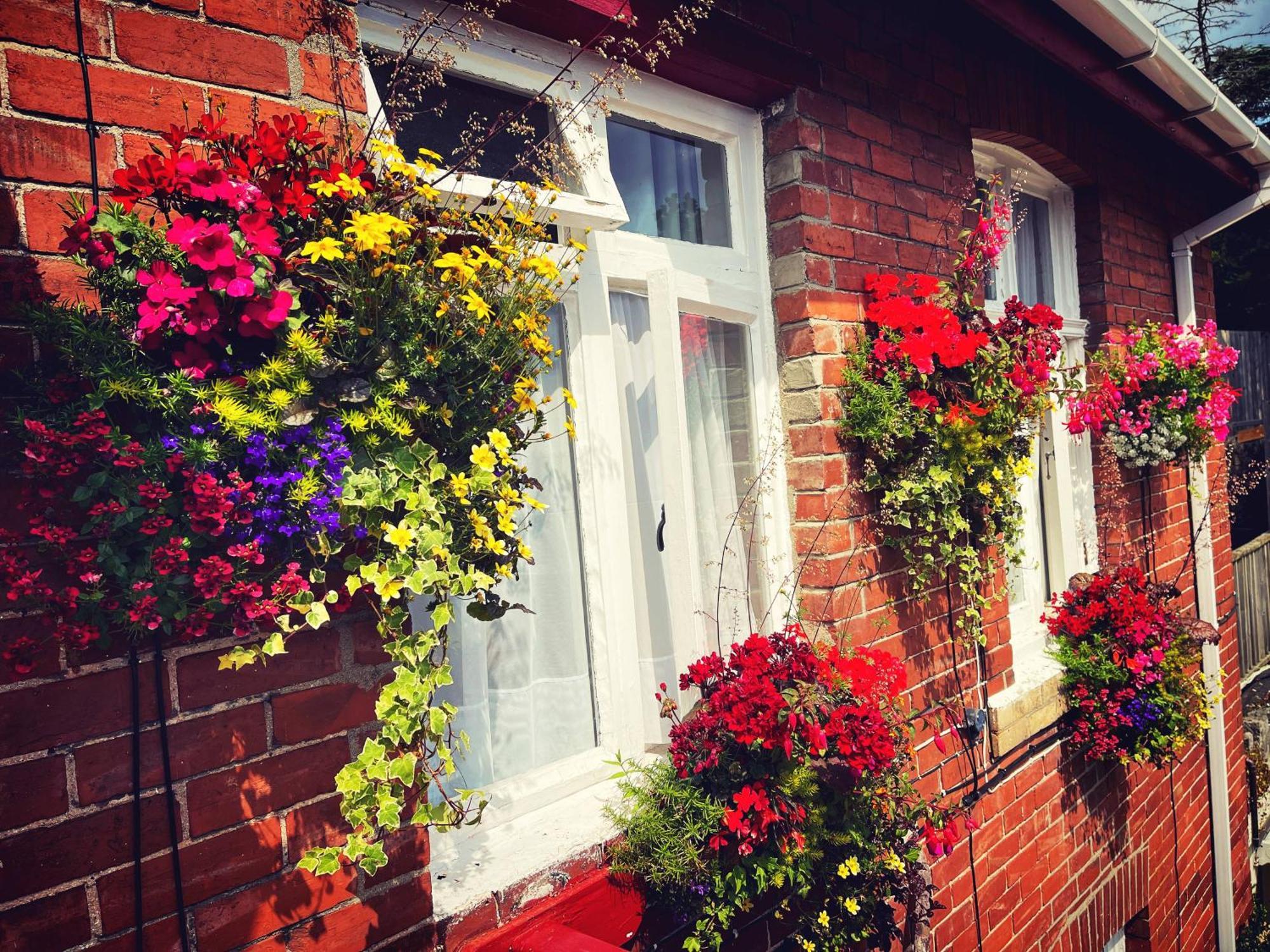 The Robin Hill Bed and Breakfast Torquay Εξωτερικό φωτογραφία