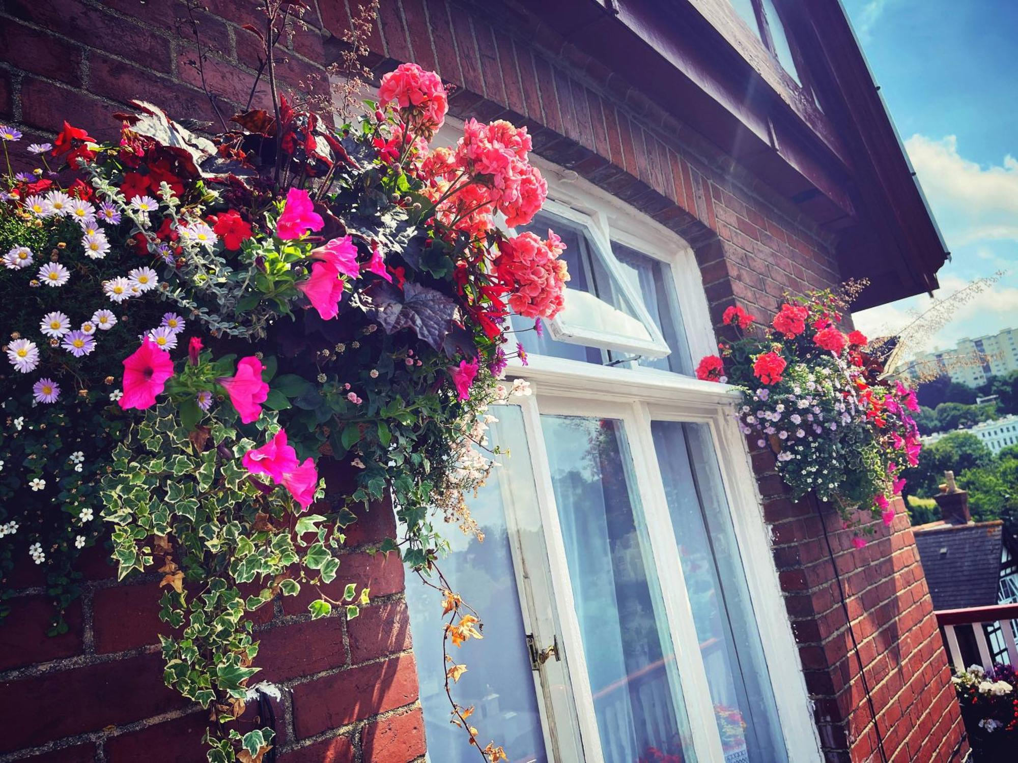 The Robin Hill Bed and Breakfast Torquay Εξωτερικό φωτογραφία